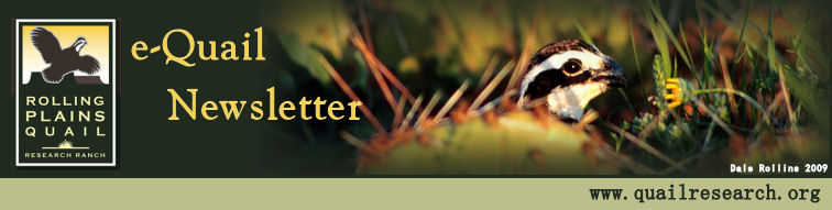 banner_nov.jpg