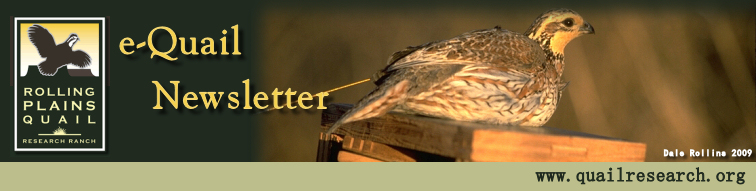 dec_banner.jpg