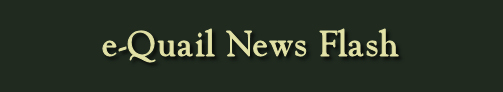 e-flash1_logo.jpg