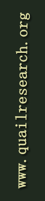 flash_logo.jpg