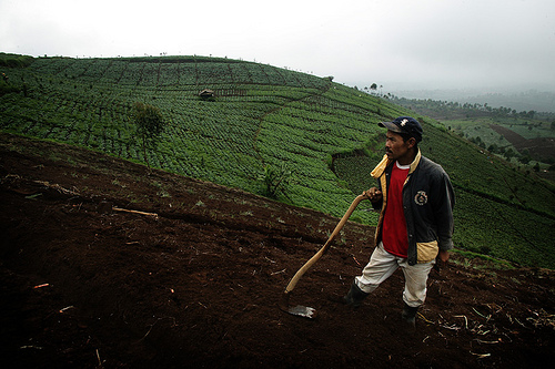 dadah in field.jpg