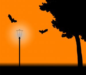 bats.jpg