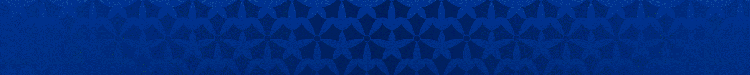 newsletter footer.gif