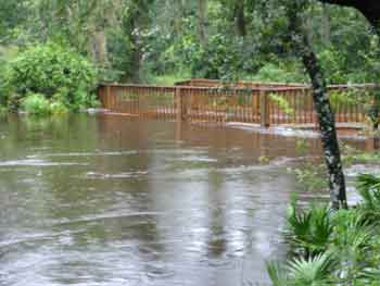 Bridge-under-water-newslett.jpg