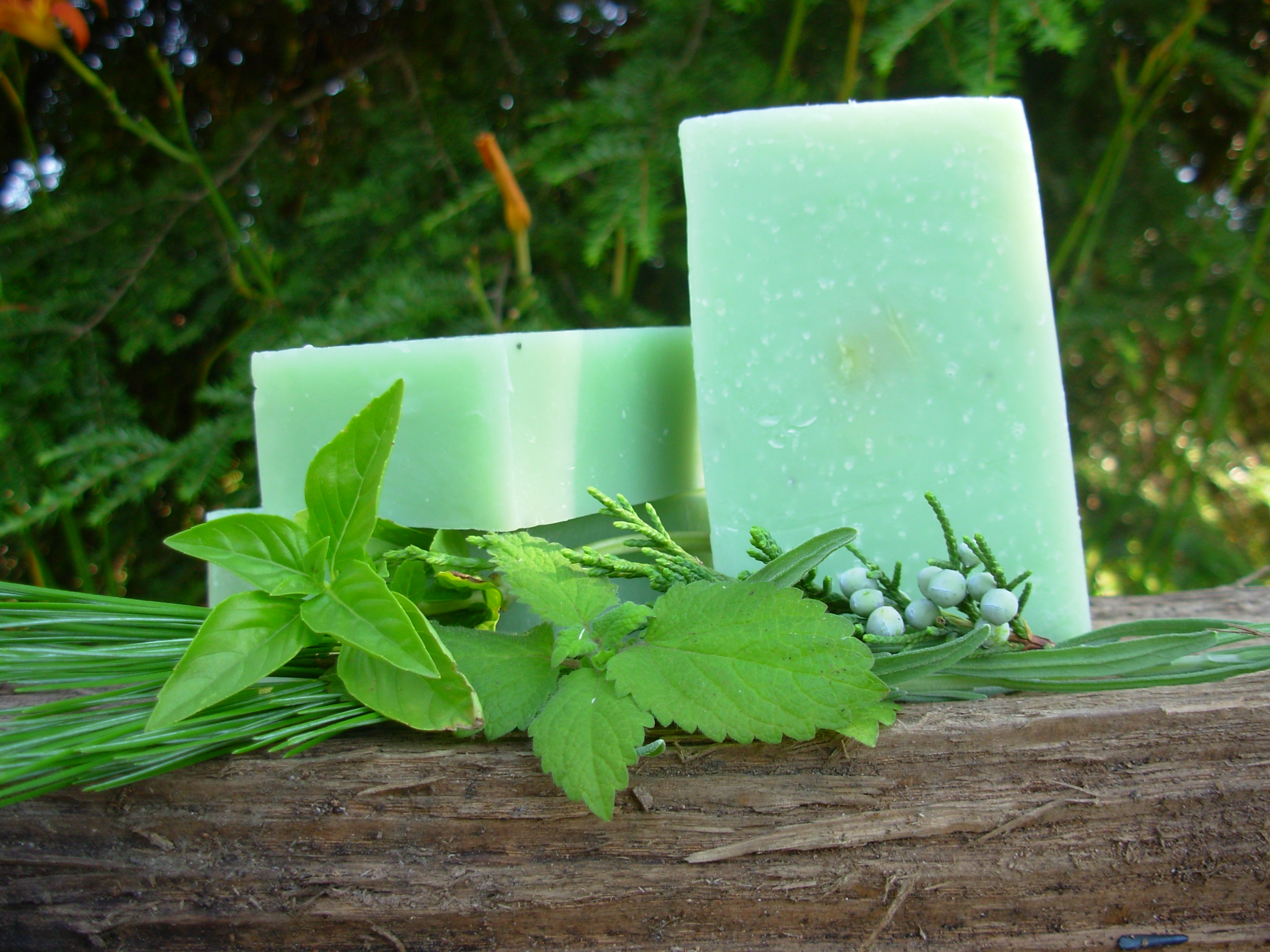 be very careful what we put on it. Real soap nourishes your skin and ...