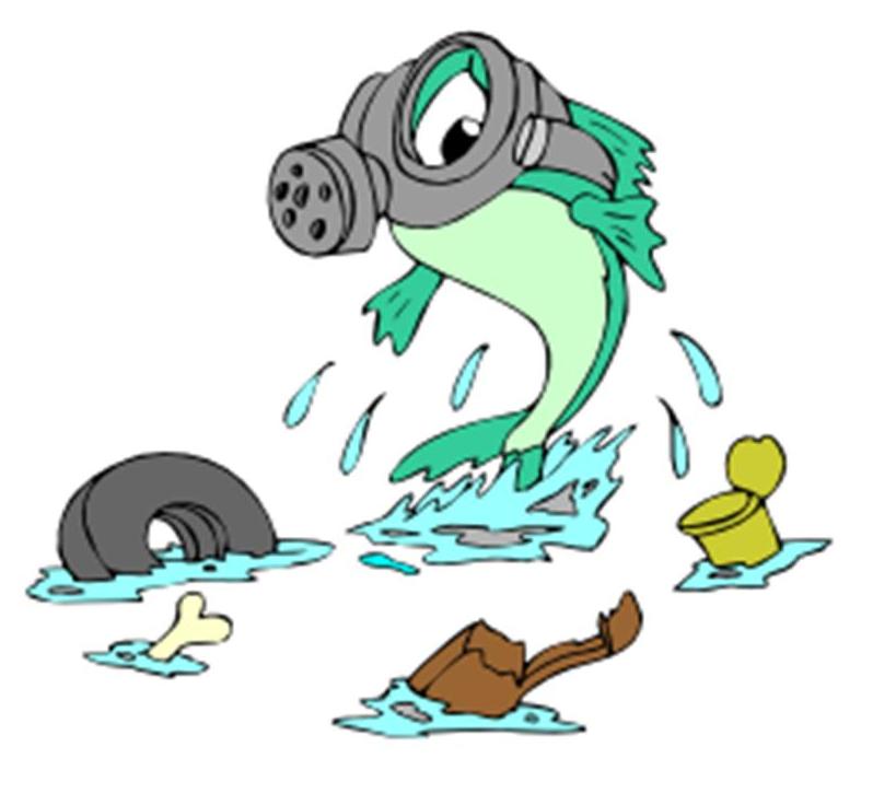 CleanUpFish.jpg