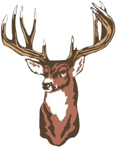 deer.jpg