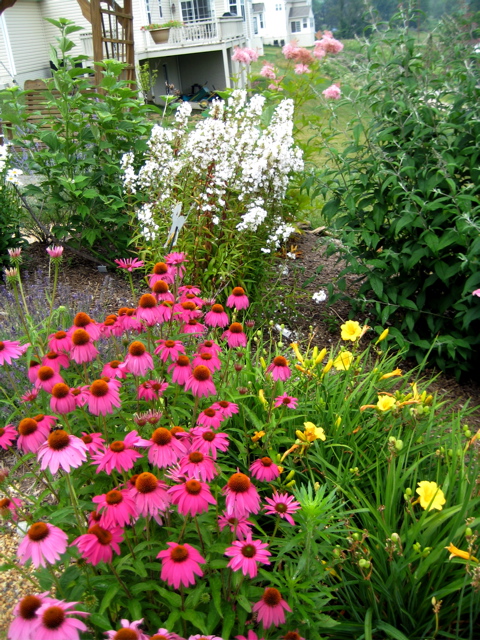 robins_garden_52.jpg