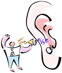 Ear.jpg