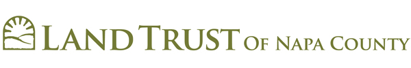 LT Logo for E-Newsletter.jpg