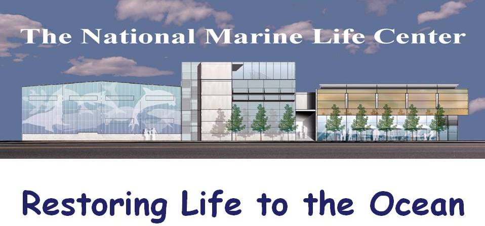 New building restoringlife to the ocean.jpg