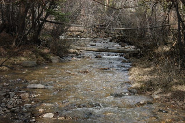 DSC_0147.JPG