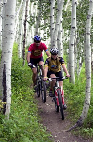 bikes.jpg