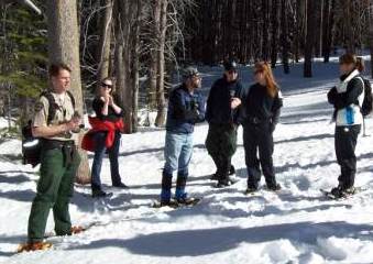 UTR_snowshoe1.jpg