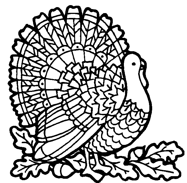 turkey9.gif