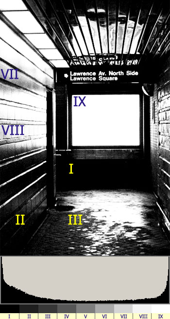 High contrast.jpg