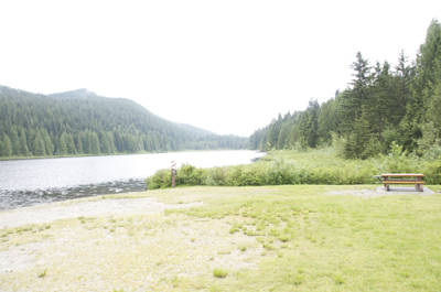 TED_0202_2.jpg