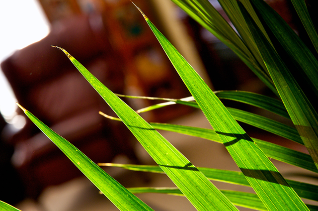 Backlight contrast.jpg