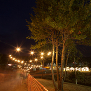 GF08.NightLightsAK178px.jpg