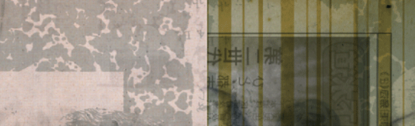 iijima-slice.gif