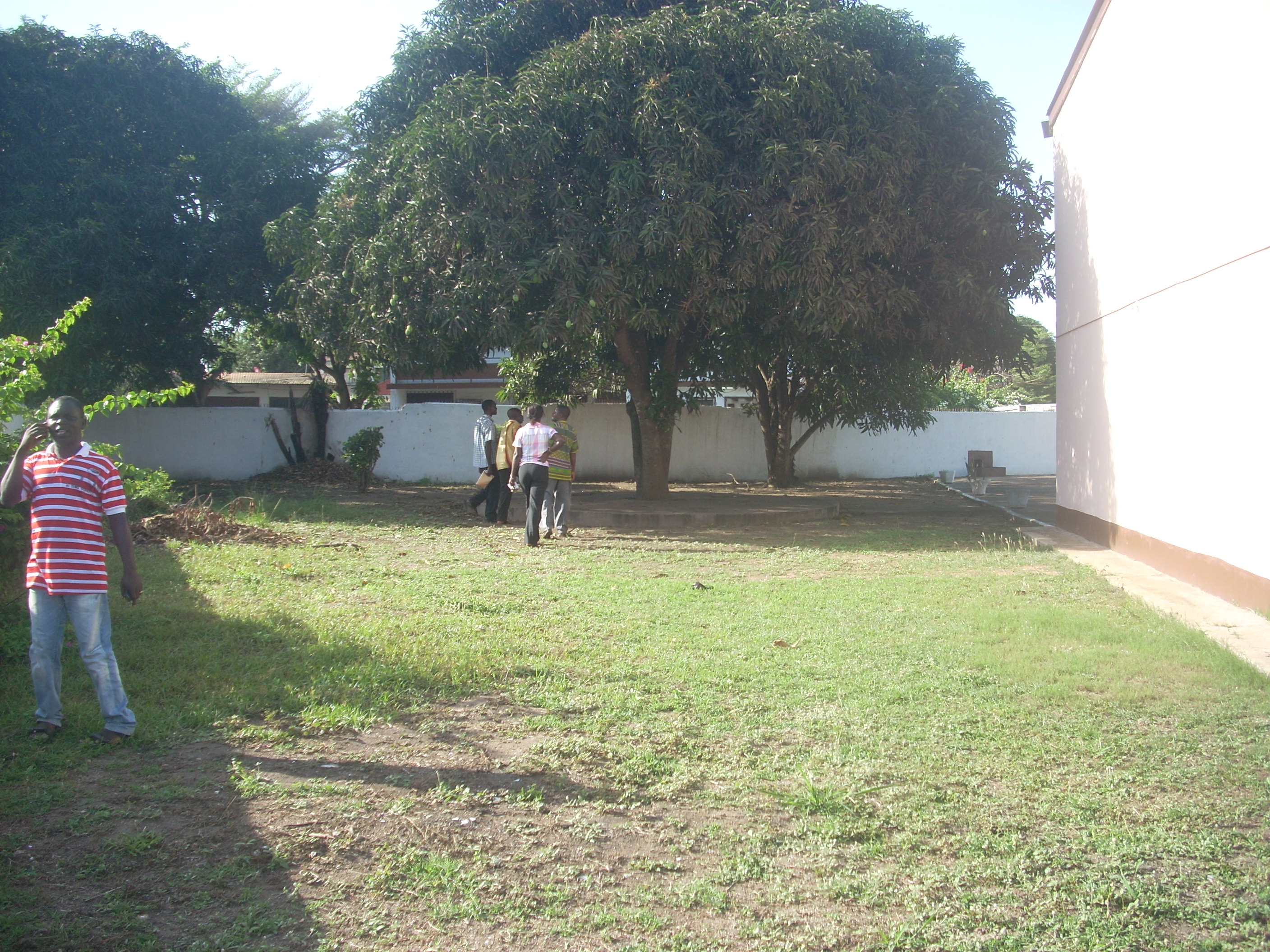 Mango Tree at Compound.jpg