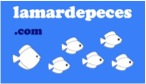 LMDP_logo_small.jpg