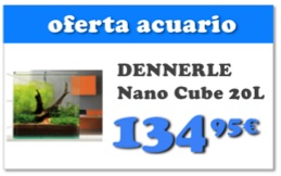 dennerle nano cube 20 tercio.jpg
