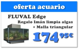 fluval edge tercio.jpg