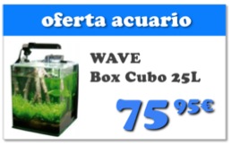 wave box cubo 25l tercio.jpg