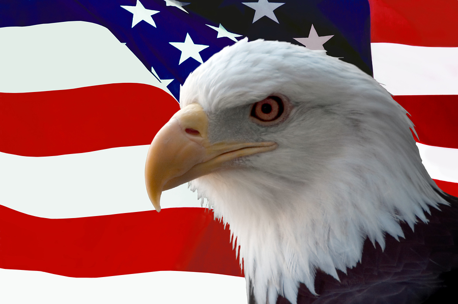 Flag Bald Eagle.jpg