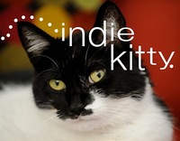 indie kitty sm.jpg