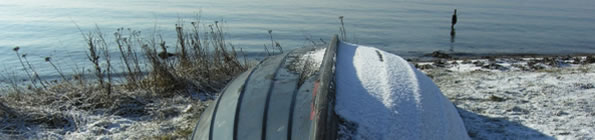 Winter Scene