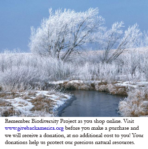 winter-river-pic_with_capti.jpg