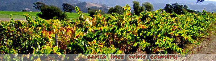 banner5a.jpg