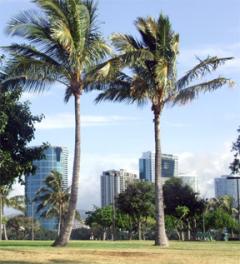 Honolulu
