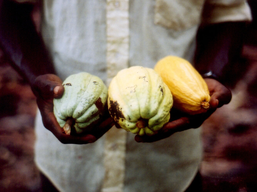 AB_0012.jpg