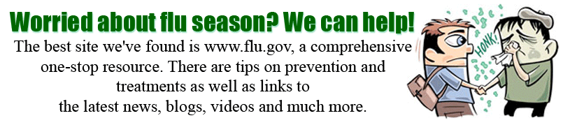Flue-Info.gif