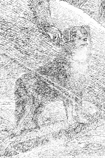 detail