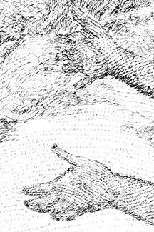 detail