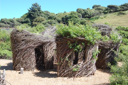 LookoutCove27.JPG