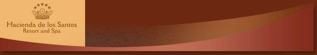 HDLS-footer03.jpg