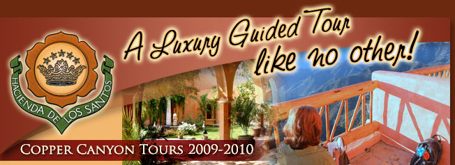 Luxury Guided Tours like no other... Copper Canyon Tours 2009 -2010