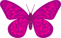 butterfly_clipart_pink.gif