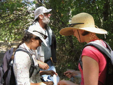 Seed Collection - SC Park.gif