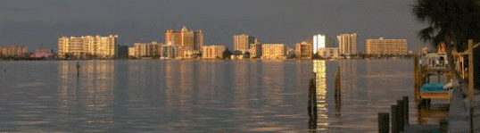 BirdKeyCityView3-540x150.gif