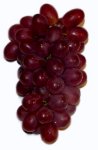 grapes.jpg
