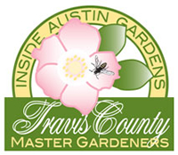 Inside Austin Gardens
