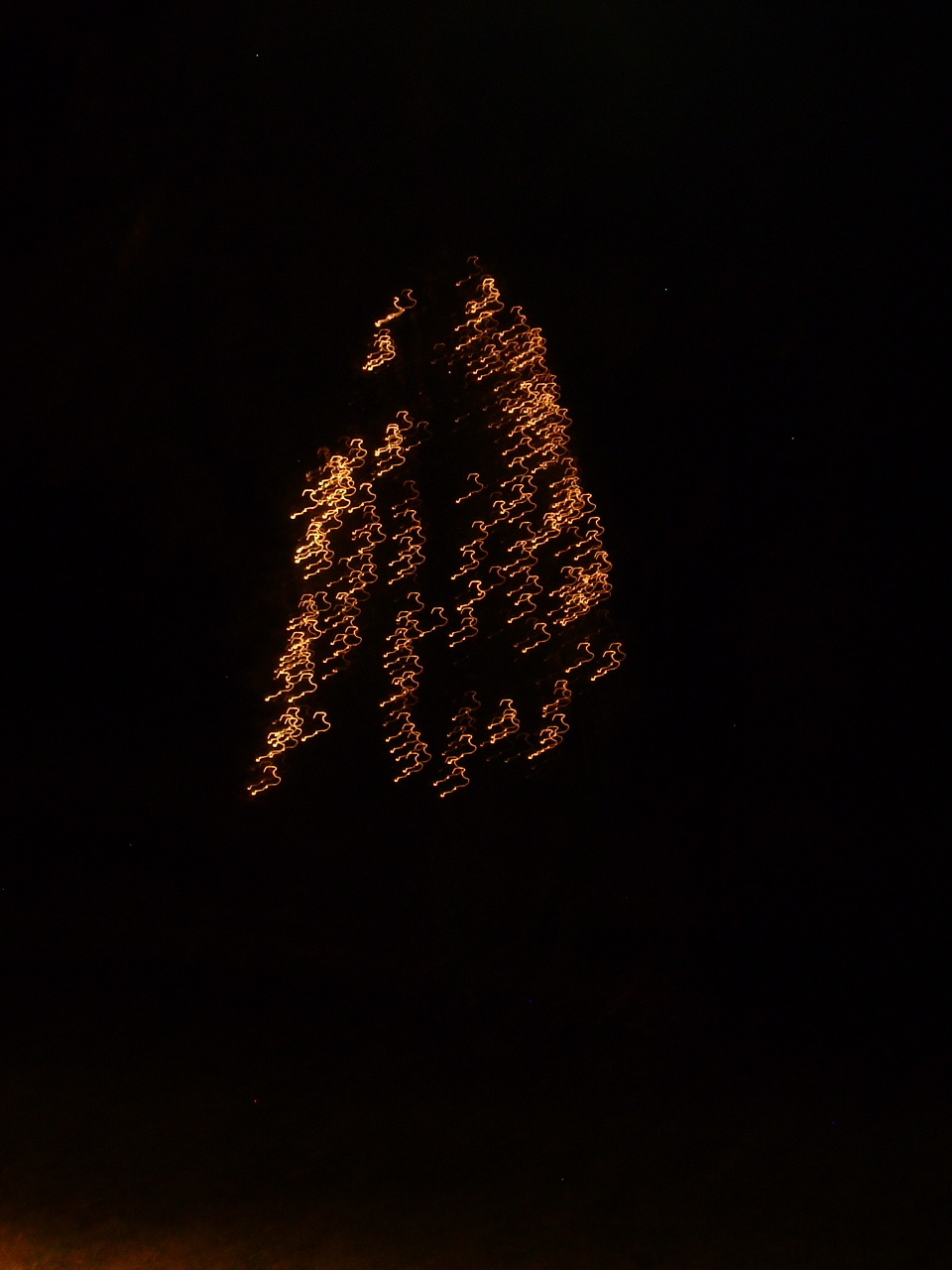 outsidetreewithlights.JPG