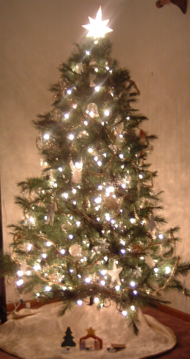 tree2008.JPG