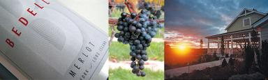 wine banner.jpg
